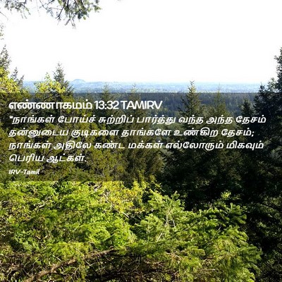 Picture 02 - எண்ணாகமம் 13:32 TAMIRV - “நாங்கள் போய்ச் - Bible Verse Picture
