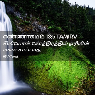 Picture 02 - எண்ணாகமம் 13:5 TAMIRV - சிமியோன் - Bible Verse Picture