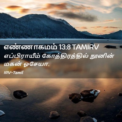 Picture 02 - எண்ணாகமம் 13:8 TAMIRV - எப்பிராயீம் - Bible Verse Picture