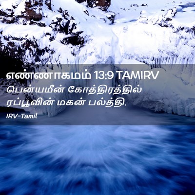 Picture 02 - எண்ணாகமம் 13:9 TAMIRV - பென்யமீன் - Bible Verse Picture