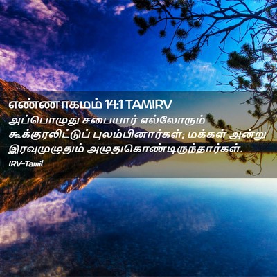 Picture 02 - எண்ணாகமம் 14:1 TAMIRV - அப்பொழுது சபையார் - Bible Verse Picture