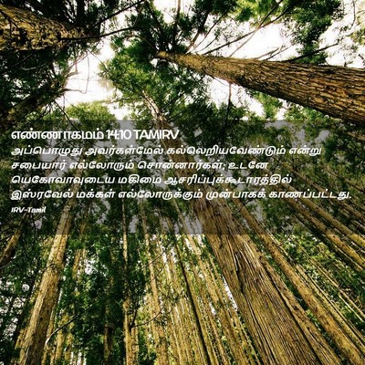 Picture 02 - எண்ணாகமம் 14:10 TAMIRV - அப்பொழுது - Bible Verse Picture
