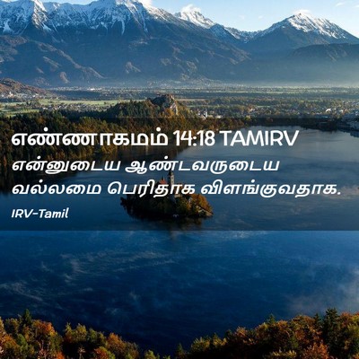 Picture 02 - எண்ணாகமம் 14:18 TAMIRV - என்னுடைய - Bible Verse Picture