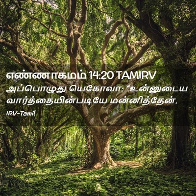 Picture 02 - எண்ணாகமம் 14:20 TAMIRV - அப்பொழுது யெகோவா: - Bible Verse Picture