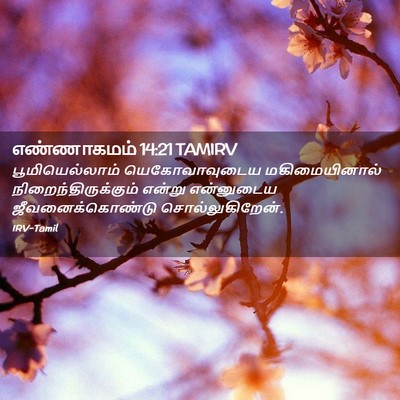 Picture 02 - எண்ணாகமம் 14:21 TAMIRV - பூமியெல்லாம் - Bible Verse Picture