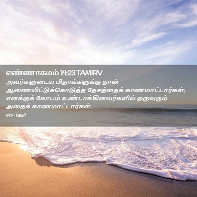 Picture 02 - எண்ணாகமம் 14:23 TAMIRV - அவர்களுடைய - Bible Verse Picture