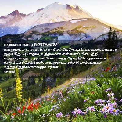Picture 02 - எண்ணாகமம் 14:24 TAMIRV - என்னுடைய தாசனாகிய - Bible Verse Picture