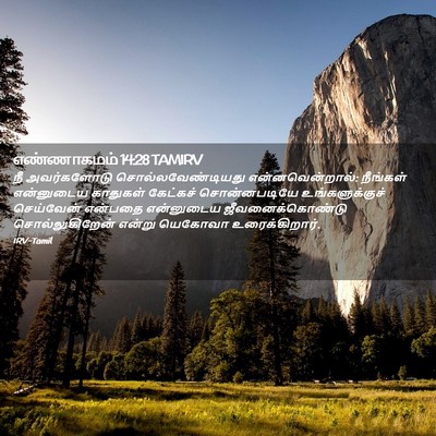 Picture 02 - எண்ணாகமம் 14:28 TAMIRV - நீ அவர்களோடு - Bible Verse Picture