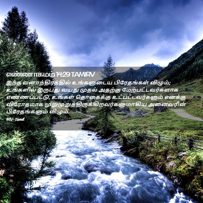 Picture 02 - எண்ணாகமம் 14:29 TAMIRV - இந்த - Bible Verse Picture