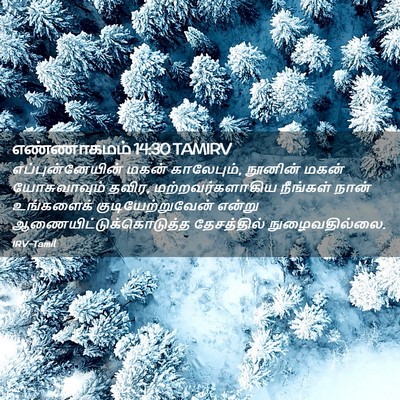 Picture 02 - எண்ணாகமம் 14:30 TAMIRV - எப்புன்னேயின் - Bible Verse Picture