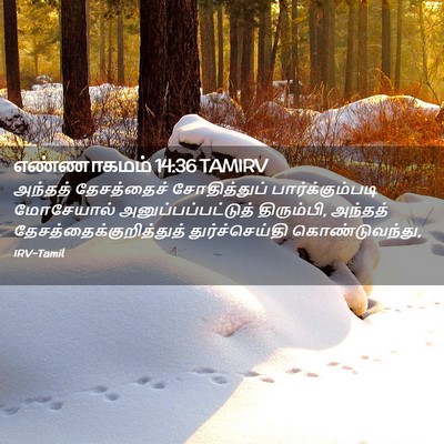 Picture 02 - எண்ணாகமம் 14:36 TAMIRV - அந்தத் தேசத்தைச் - Bible Verse Picture