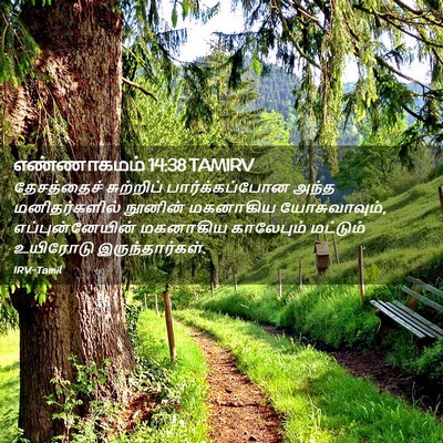 Picture 02 - எண்ணாகமம் 14:38 TAMIRV - தேசத்தைச் - Bible Verse Picture