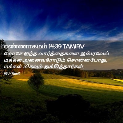 Picture 02 - எண்ணாகமம் 14:39 TAMIRV - மோசே இந்த - Bible Verse Picture