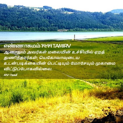 Picture 02 - எண்ணாகமம் 14:44 TAMIRV - ஆனாலும் அவர்கள் - Bible Verse Picture