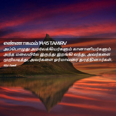 Picture 02 - எண்ணாகமம் 14:45 TAMIRV - அப்பொழுது - Bible Verse Picture