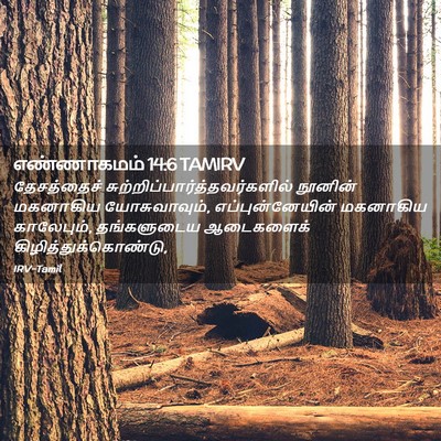 Picture 02 - எண்ணாகமம் 14:6 TAMIRV - தேசத்தைச் - Bible Verse Picture