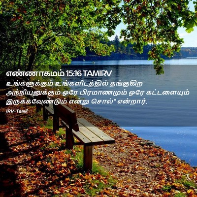 Picture 02 - எண்ணாகமம் 15:16 TAMIRV - உங்களுக்கும் - Bible Verse Picture