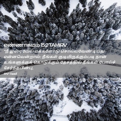Picture 02 - எண்ணாகமம் 15:2 TAMIRV - “நீ இஸ்ரவேல் - Bible Verse Picture