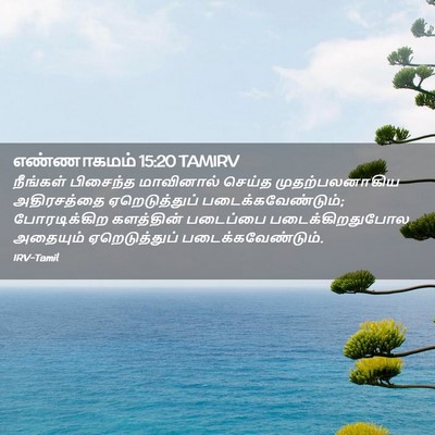 Picture 02 - எண்ணாகமம் 15:20 TAMIRV - நீங்கள் பிசைந்த - Bible Verse Picture