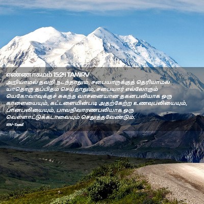 Picture 02 - எண்ணாகமம் 15:24 TAMIRV - அறியாமல் தவறி - Bible Verse Picture