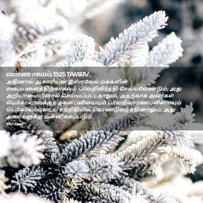 Picture 02 - எண்ணாகமம் 15:25 TAMIRV - அதினால் ஆசாரியன் - Bible Verse Picture