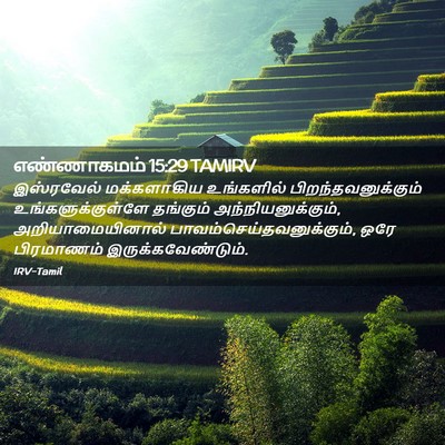 Picture 02 - எண்ணாகமம் 15:29 TAMIRV - இஸ்ரவேல் - Bible Verse Picture