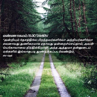 Picture 02 - எண்ணாகமம் 15:30 TAMIRV - “அன்றியும் - Bible Verse Picture