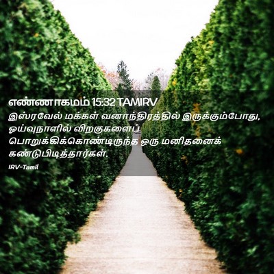 Picture 02 - எண்ணாகமம் 15:32 TAMIRV - இஸ்ரவேல் மக்கள் - Bible Verse Picture