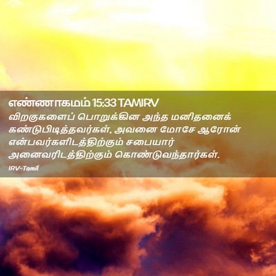 Picture 02 - எண்ணாகமம் 15:33 TAMIRV - விறகுகளைப் - Bible Verse Picture