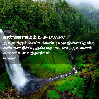 Picture 02 - எண்ணாகமம் 15:34 TAMIRV - அவனுக்குச் - Bible Verse Picture