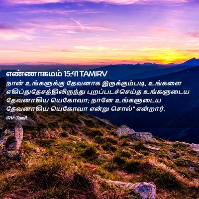 Picture 02 - எண்ணாகமம் 15:41 TAMIRV - நான் உங்களுக்கு - Bible Verse Picture