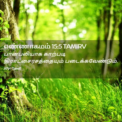 Picture 02 - எண்ணாகமம் 15:5 TAMIRV - பானபலியாக காற்படி - Bible Verse Picture