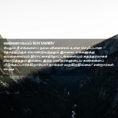 Picture 02 - எண்ணாகமம் 16:14 TAMIRV - மேலும் நீ - Bible Verse Picture