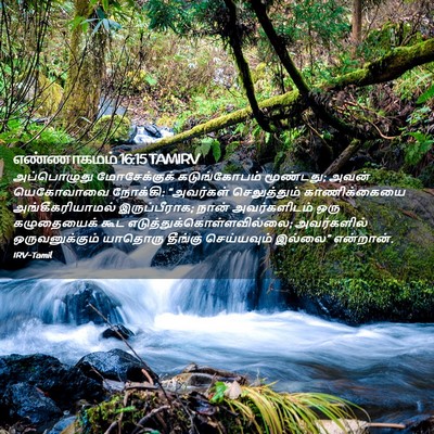 Picture 02 - எண்ணாகமம் 16:15 TAMIRV - அப்பொழுது - Bible Verse Picture