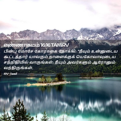 Picture 02 - எண்ணாகமம் 16:16 TAMIRV - பின்பு மோசே - Bible Verse Picture
