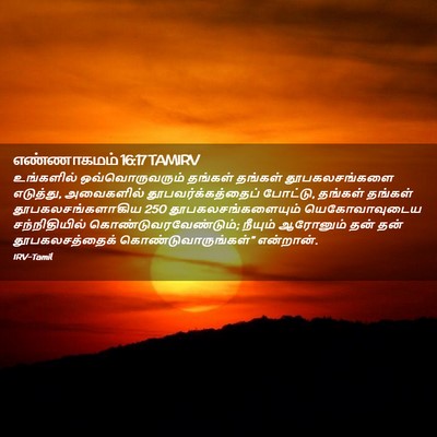 Picture 02 - எண்ணாகமம் 16:17 TAMIRV - உங்களில் - Bible Verse Picture