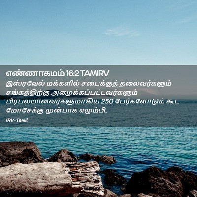 Picture 02 - எண்ணாகமம் 16:2 TAMIRV - இஸ்ரவேல் மக்களில் - Bible Verse Picture