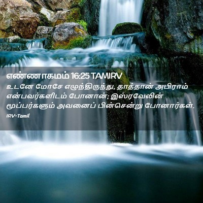 Picture 02 - எண்ணாகமம் 16:25 TAMIRV - உடனே மோசே - Bible Verse Picture