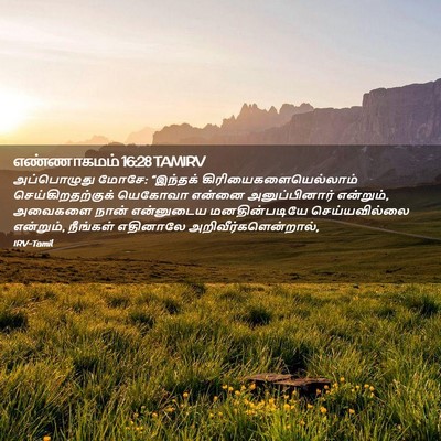 Picture 02 - எண்ணாகமம் 16:28 TAMIRV - அப்பொழுது மோசே: - Bible Verse Picture