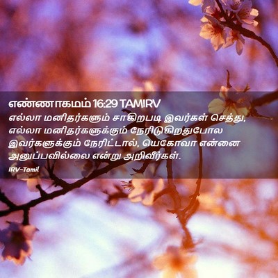 Picture 02 - எண்ணாகமம் 16:29 TAMIRV - எல்லா மனிதர்களும் - Bible Verse Picture