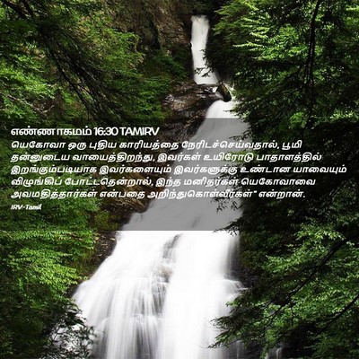 Picture 02 - எண்ணாகமம் 16:30 TAMIRV - யெகோவா ஒரு புதிய - Bible Verse Picture