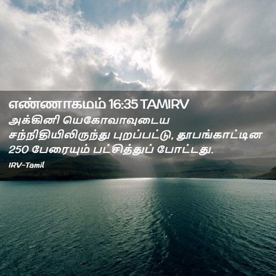 Picture 02 - எண்ணாகமம் 16:35 TAMIRV - அக்கினி - Bible Verse Picture
