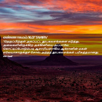 Picture 02 - எண்ணாகமம் 16:37 TAMIRV - “நெருப்பிற்குள் - Bible Verse Picture