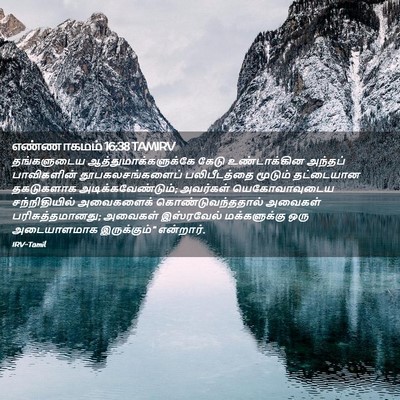 Picture 02 - எண்ணாகமம் 16:38 TAMIRV - தங்களுடைய - Bible Verse Picture