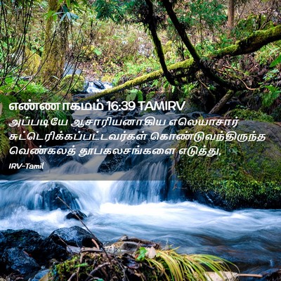 Picture 02 - எண்ணாகமம் 16:39 TAMIRV - அப்படியே - Bible Verse Picture