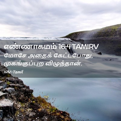 Picture 02 - எண்ணாகமம் 16:4 TAMIRV - மோசே அதைக் - Bible Verse Picture