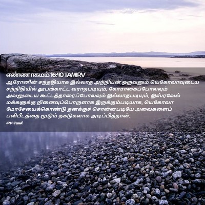 Picture 02 - எண்ணாகமம் 16:40 TAMIRV - ஆரோனின் சந்ததியாக - Bible Verse Picture