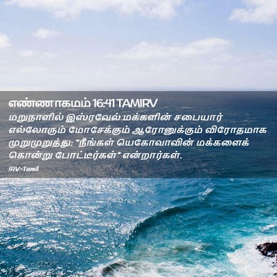 Picture 02 - எண்ணாகமம் 16:41 TAMIRV - மறுநாளில் - Bible Verse Picture