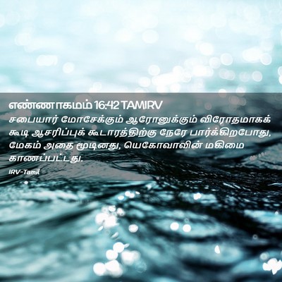 Picture 02 - எண்ணாகமம் 16:42 TAMIRV - சபையார் - Bible Verse Picture