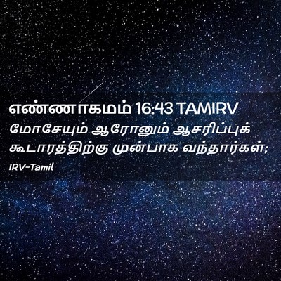 Picture 02 - எண்ணாகமம் 16:43 TAMIRV - மோசேயும் ஆரோனும் - Bible Verse Picture